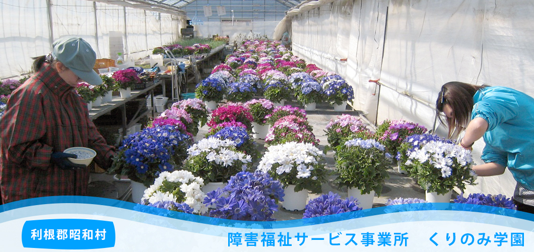 eyecatch_006